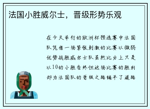 法国小胜威尔士，晋级形势乐观